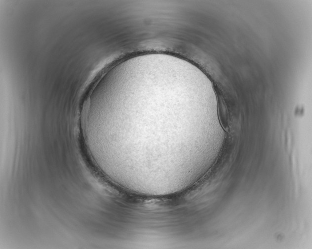 X0000093560064200711121023