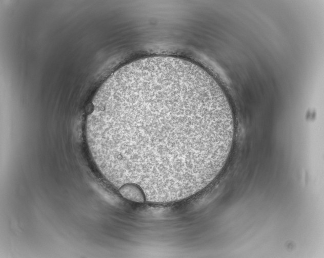 X0000093560065200711121023