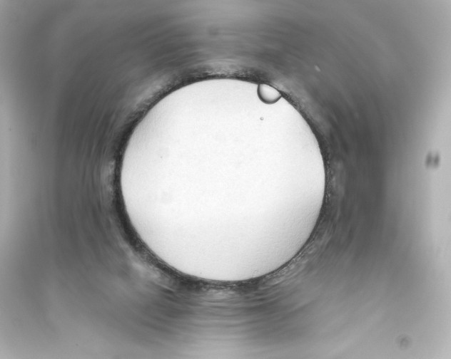 X0000093560066200711121023