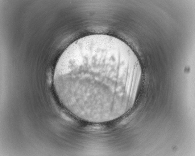X0000093560069200711121023