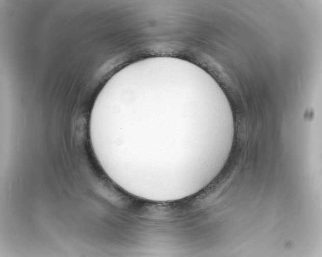 X0000093560071200711121023