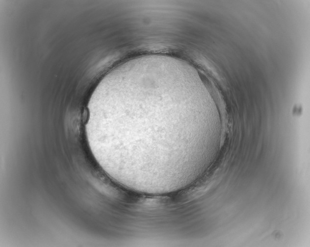 X0000093560072200711121023
