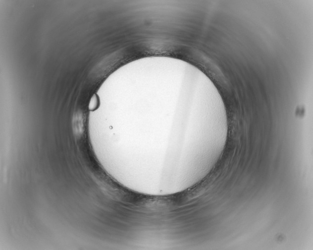 X0000093560075200711121023