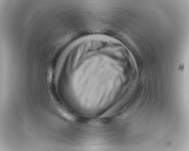 X0000093560076200711121024