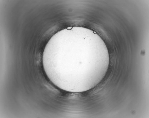 X0000093560077200711121024