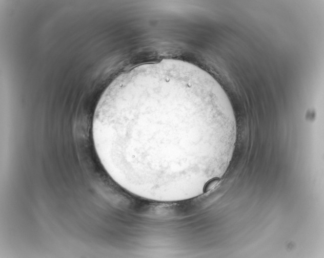 X0000093560078200711121024