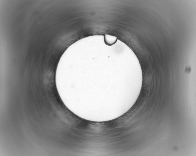 X0000093560079200711121024