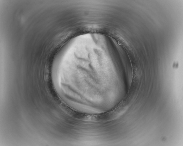 X0000093560080200711121024