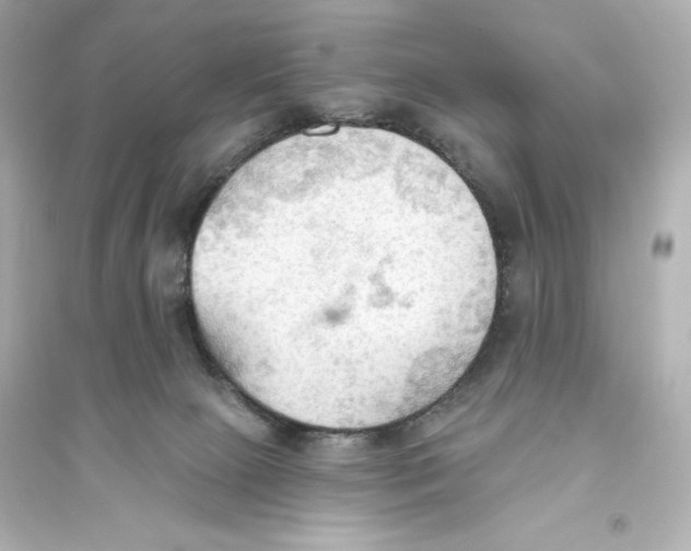 X0000093560081200711121024
