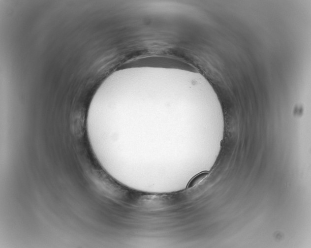 X0000093560082200711121024