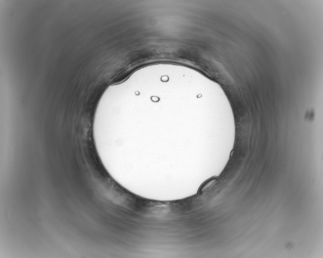 X0000093560083200711121024