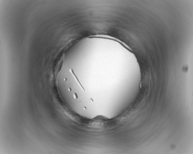 X0000093560084200711121024