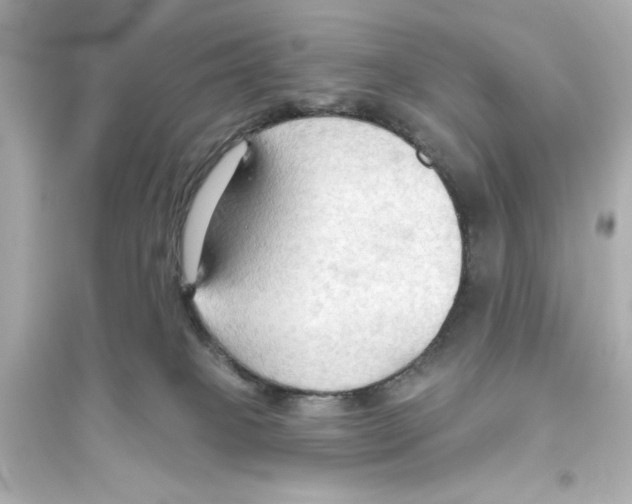 X0000093560085200711121024