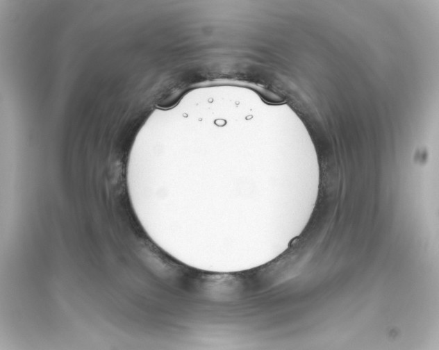 X0000093560087200711121024