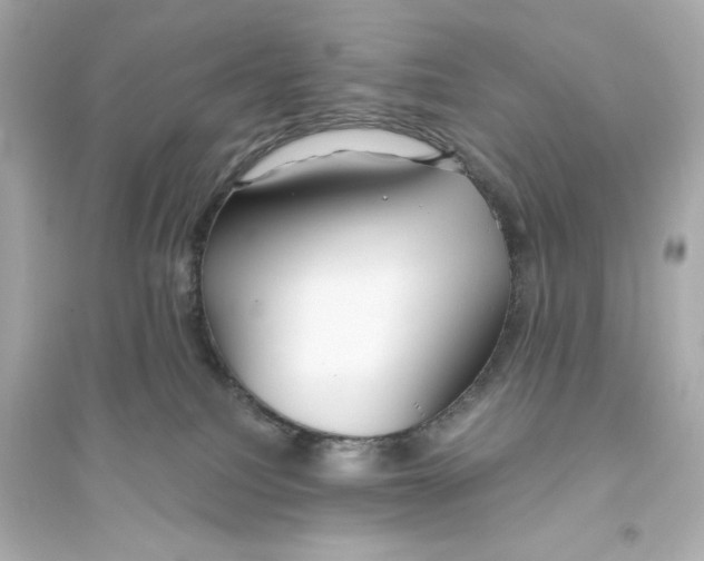 X0000093560088200711121024