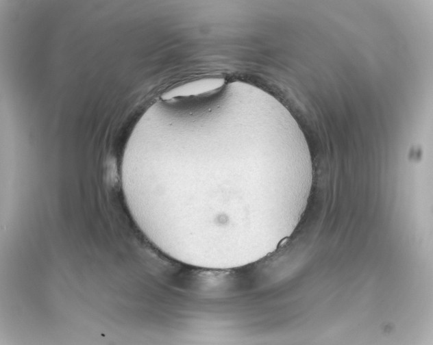 X0000093560089200711121024