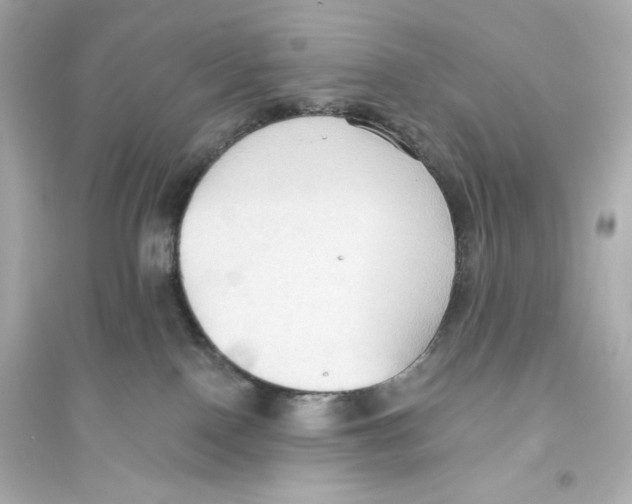 X0000093560090200711121024