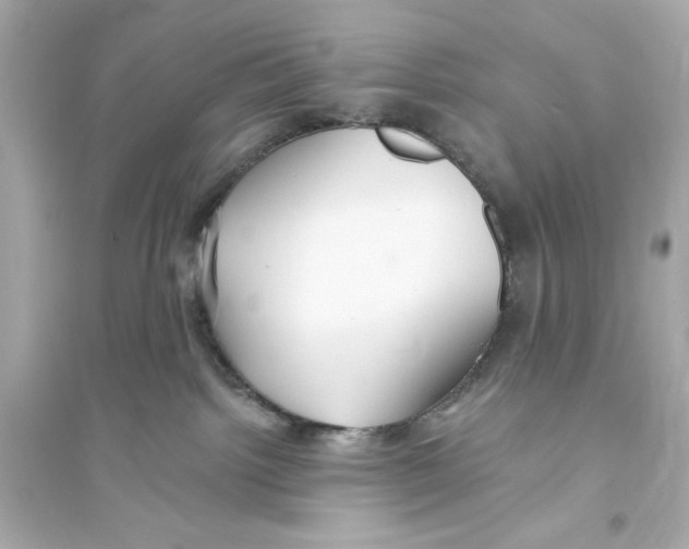 X0000093560092200711121024