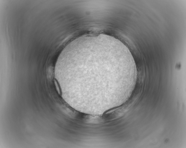 X0000093560093200711121024
