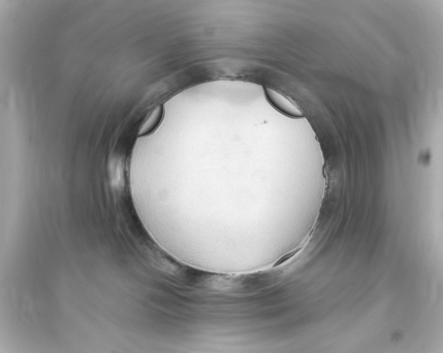 X0000093560094200711121024