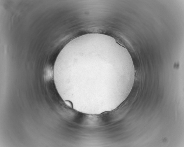 X0000093560095200711121024