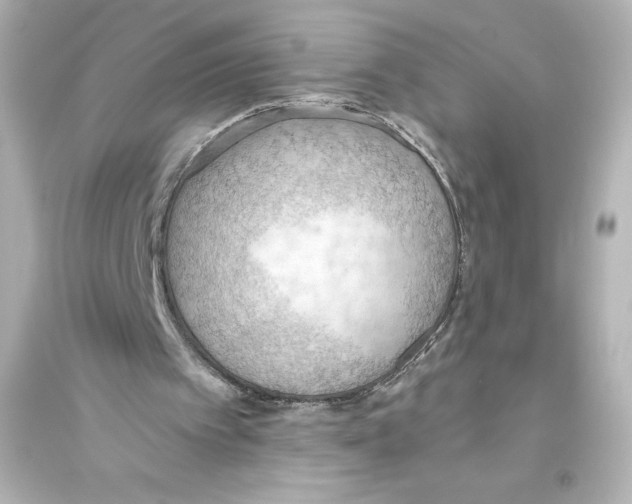 X0000093560097200711121023