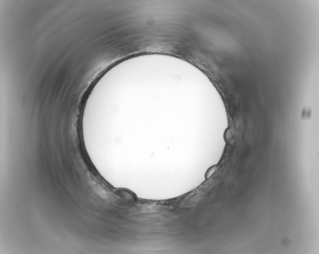 X0000093560098200711121023