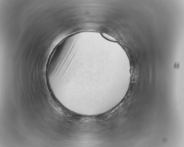 X0000093560099200711121023