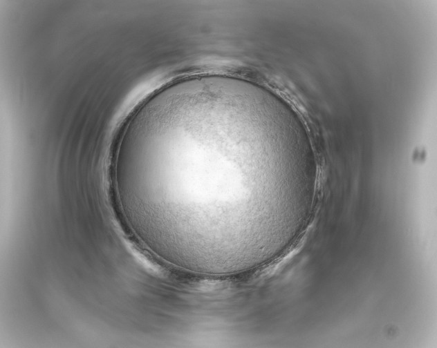X0000093560101200711121023