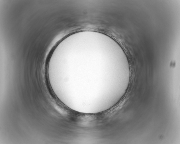 X0000093560102200711121023