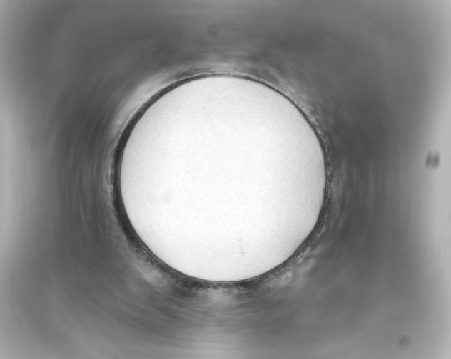 X0000093560103200711121023