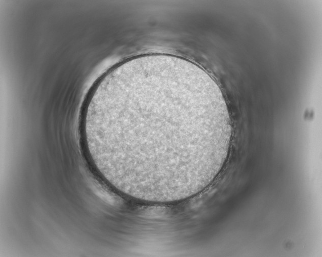 X0000093560104200711121023