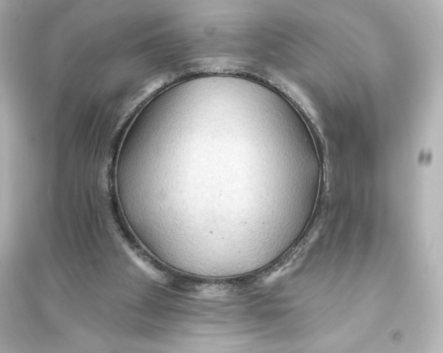 X0000093560105200711121023