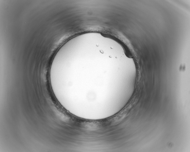 X0000093560106200711121023