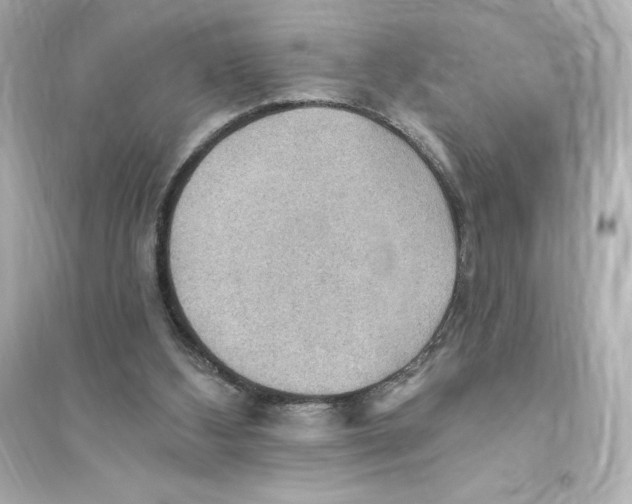 X0000093560108200711121023