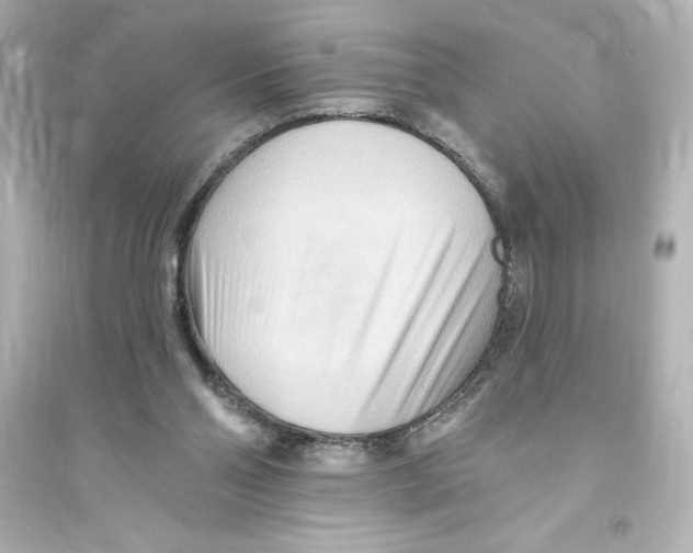 X0000093560110200711121023