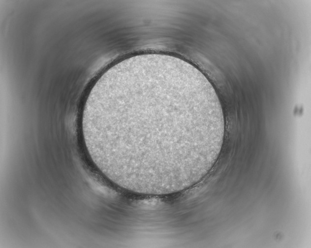 X0000093560112200711121023