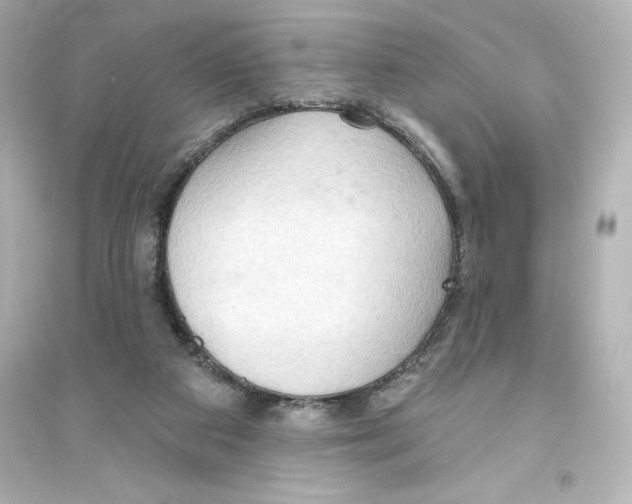 X0000093560113200711121023