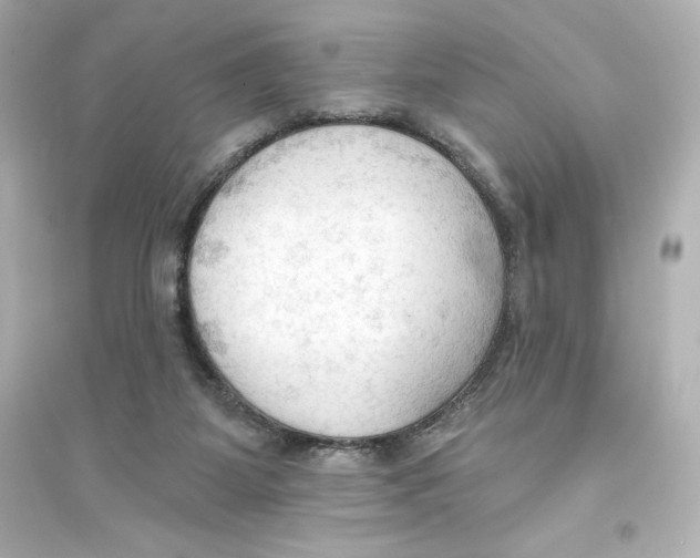 X0000093560115200711121023