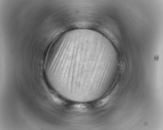 X0000093560117200711121023