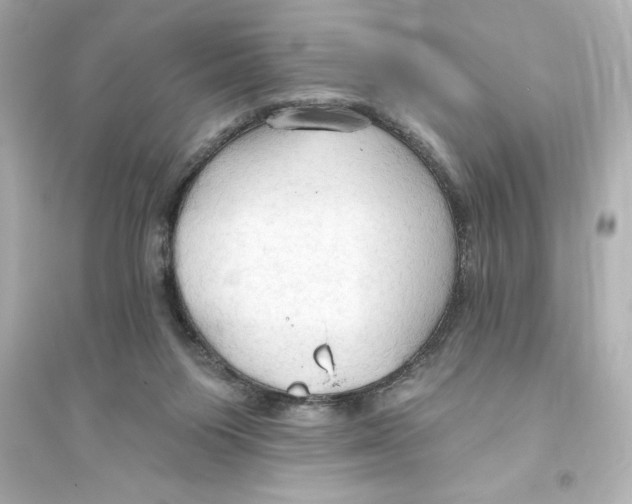 X0000093560119200711121023