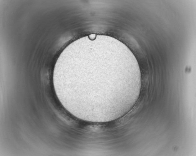 X0000093560120200711121023