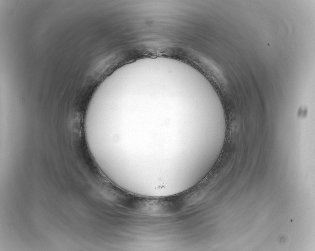 X0000093560121200711121023
