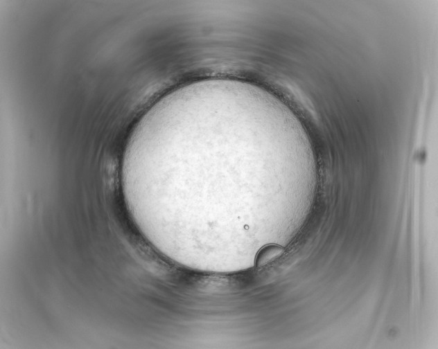X0000093560123200711121023