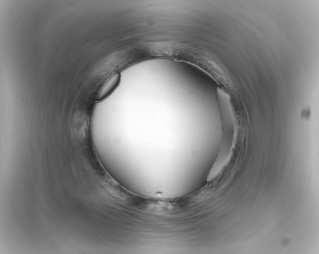 X0000093560125200711121023