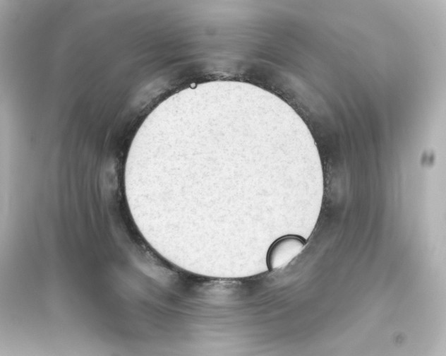 X0000093560128200711121023