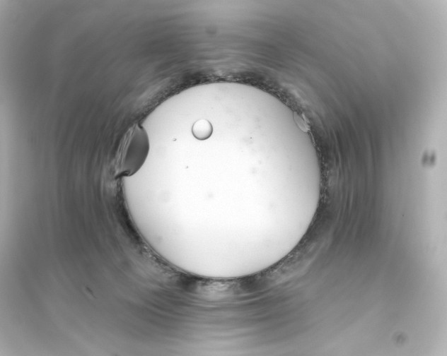 X0000093560129200711121023