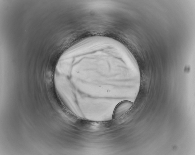 X0000093560130200711121023