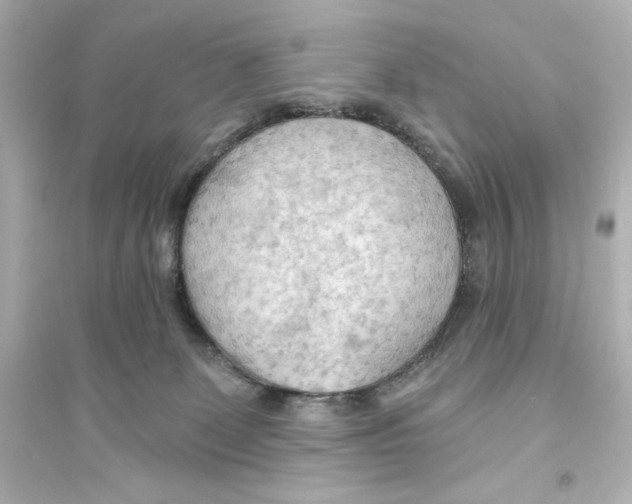 X0000093560131200711121023