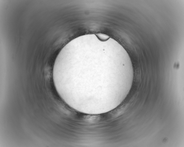 X0000093560135200711121023